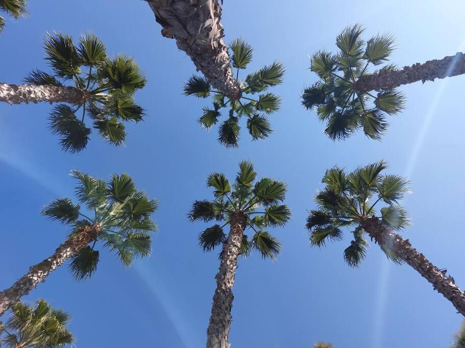 Rodas Apartment Torrevieja Ngoại thất bức ảnh